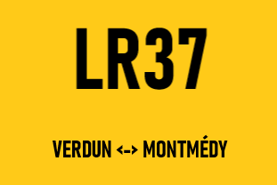 Lr37